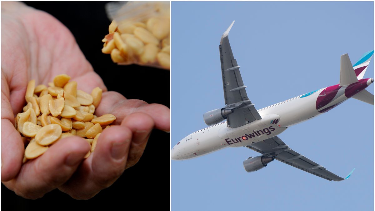 En jordnötsallergiker bad kabinpersonalen på en flight mellan Hamburg och London att inte servera jordnötter, något som inte beviljades. Då tog hon saken i egna händer. 